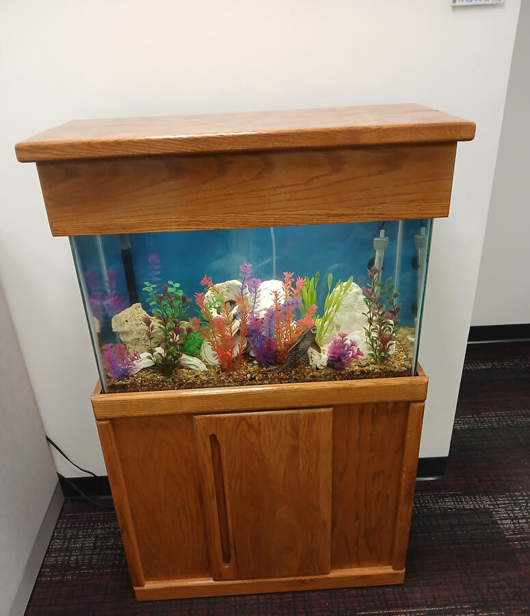 Oak Cabinet