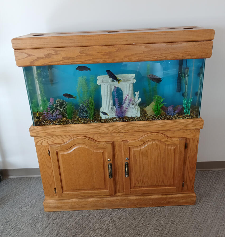 Oak Cabinet II