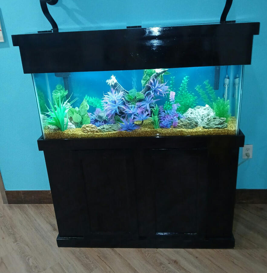 Chocolate Brown Cabinet